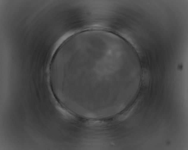 X0000095541474200801041258