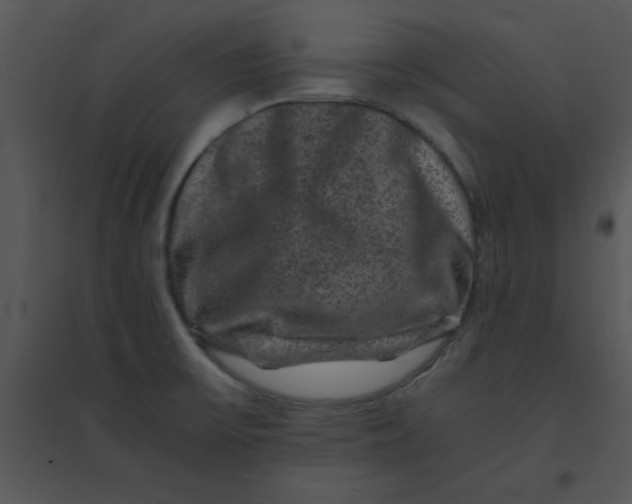 X0000095541475200801041258