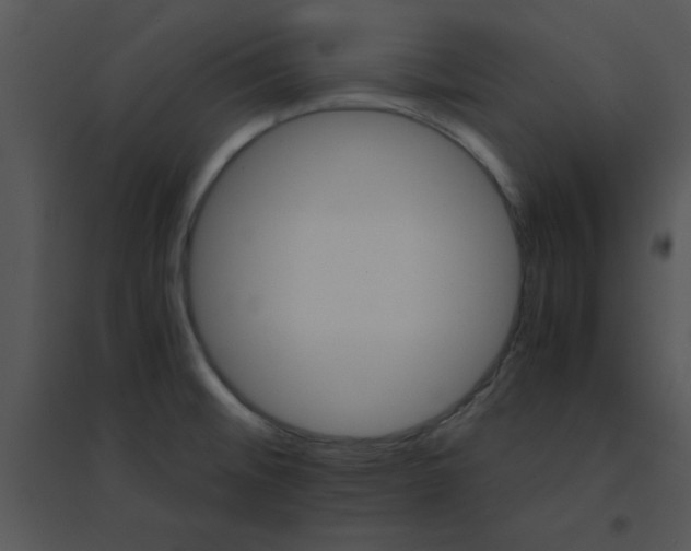 X0000095541476200801041258