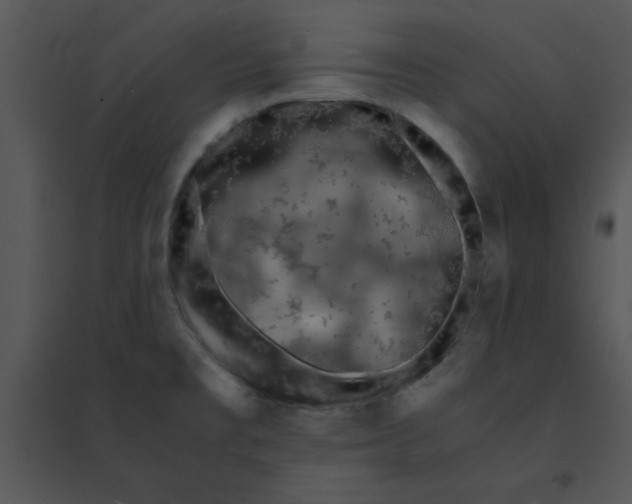 X0000095541477200801041258