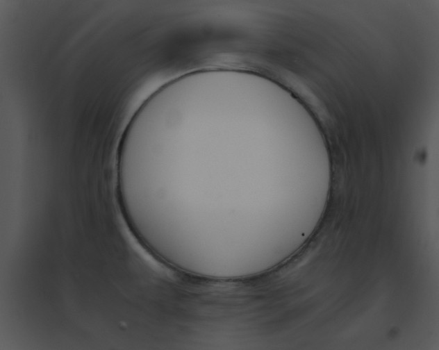 X0000095541479200801041258