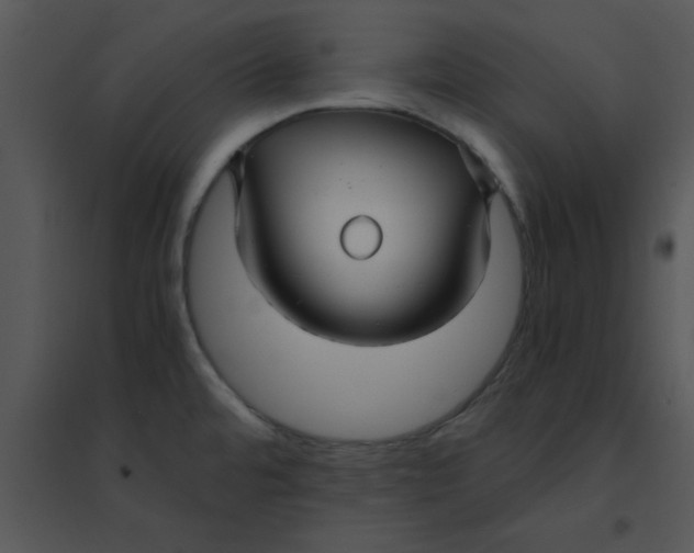 X0000095541480200801041258