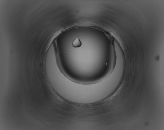 X0000095541481200801041258