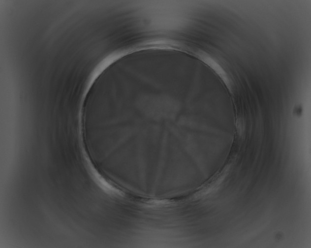 X0000095541482200801041258