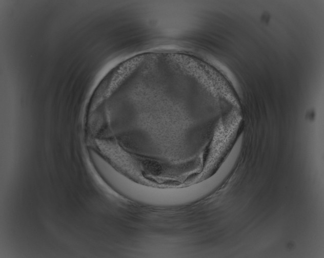 X0000095541483200801041258