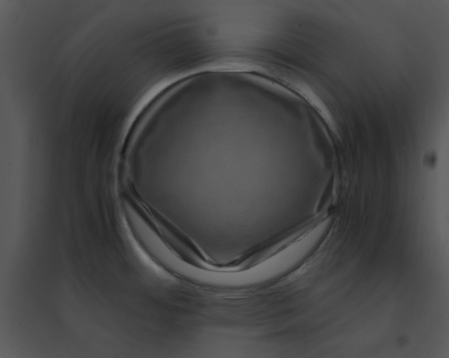 X0000095541484200801041258