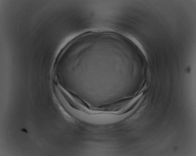 X0000095541485200801041258