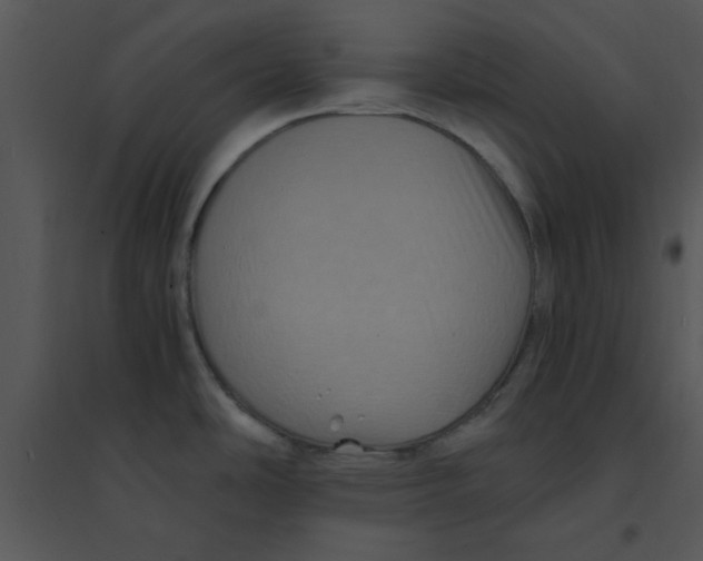 X0000095541486200801041258