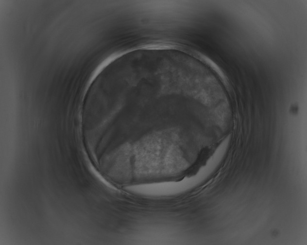 X0000095541487200801041258