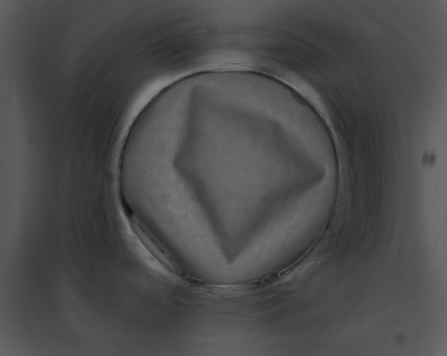 X0000095541488200801041258