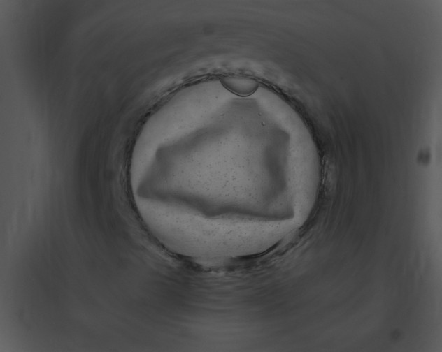 X0000095541489200801041257