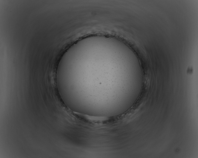 X0000095541490200801041257