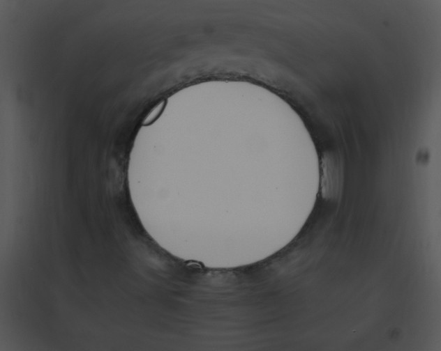 X0000095541491200801041257