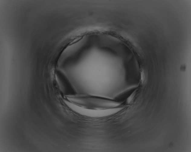 X0000095541492200801041257