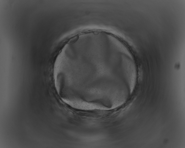 X0000095541494200801041257