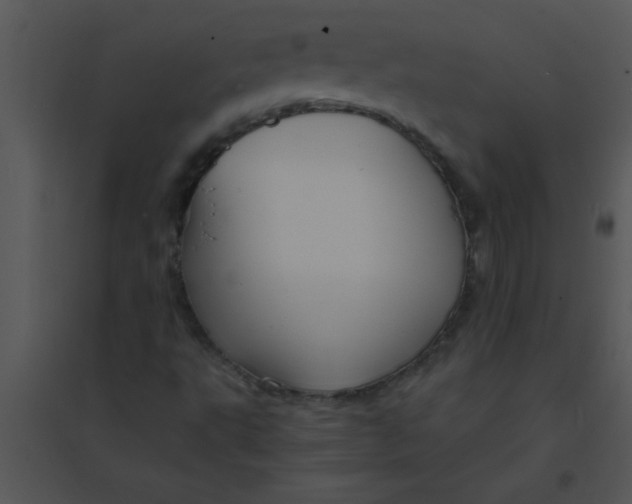 X0000095541495200801041257