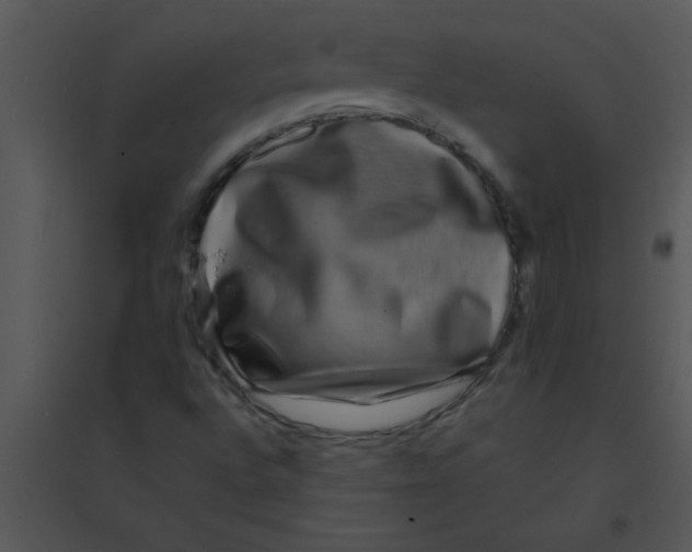 X0000095541496200801041257