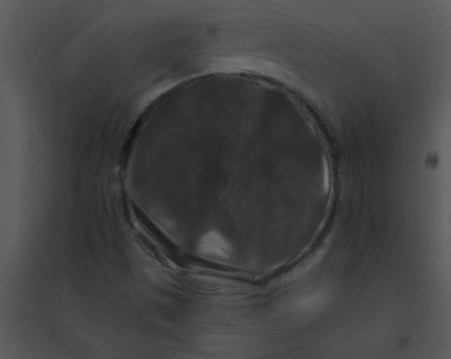 X0000095541497200801041257