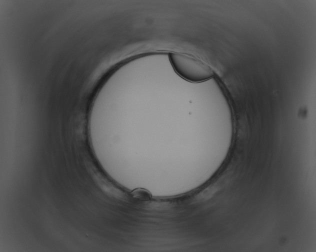 X0000095541499200801041257