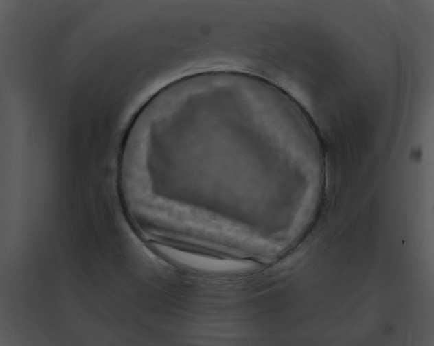 X0000095541500200801041257