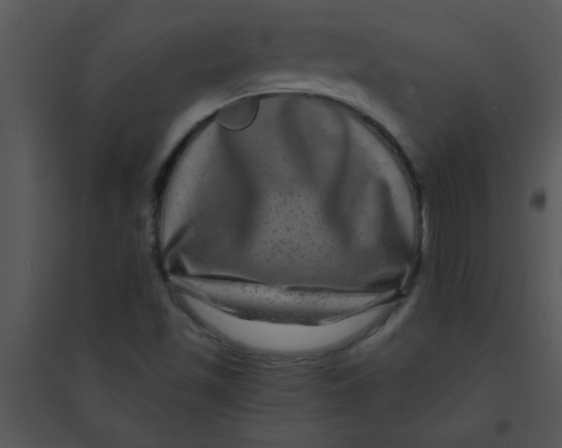 X0000095541501200801041257