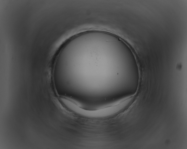 X0000095541503200801041258