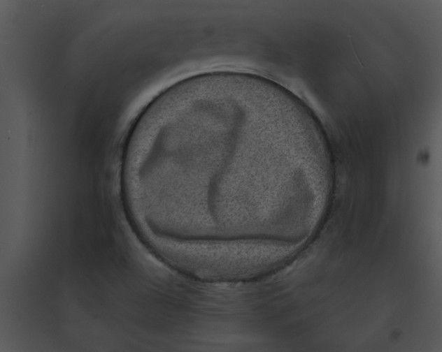 X0000095541504200801041258