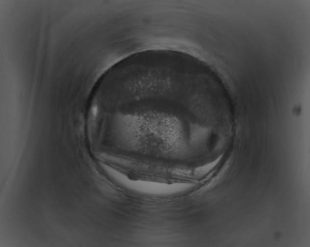 X0000095541505200801041258