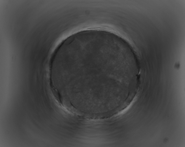 X0000095541506200801041258