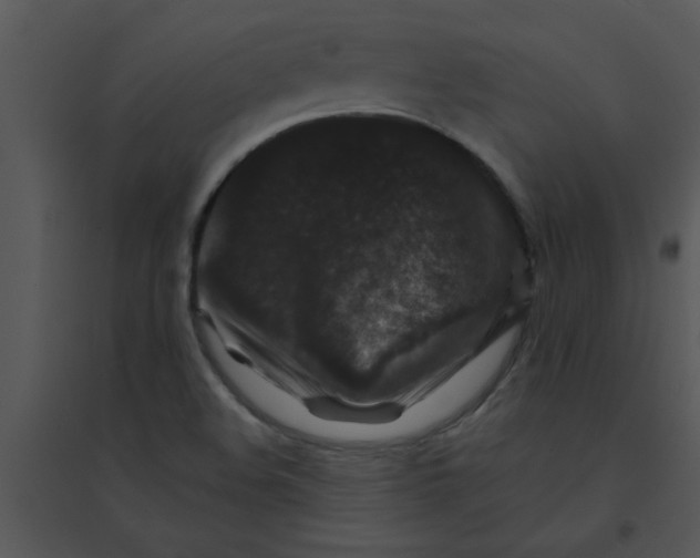 X0000095541508200801041258