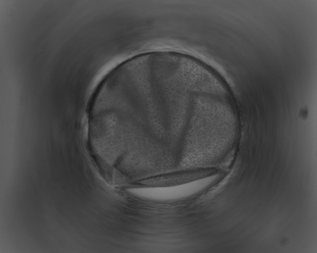 X0000095541509200801041258