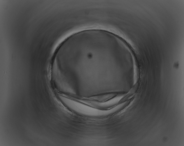 X0000095541510200801041258