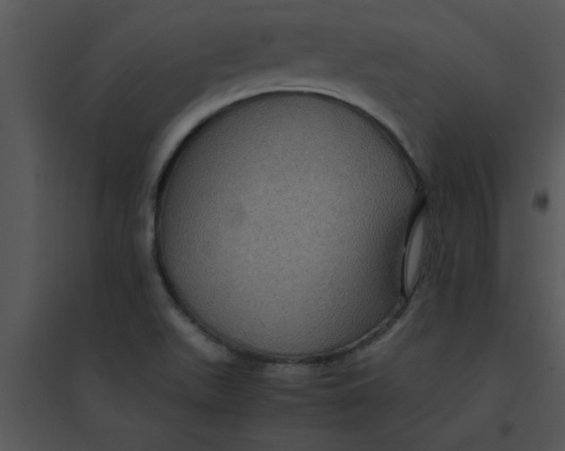 X0000095541511200801041258