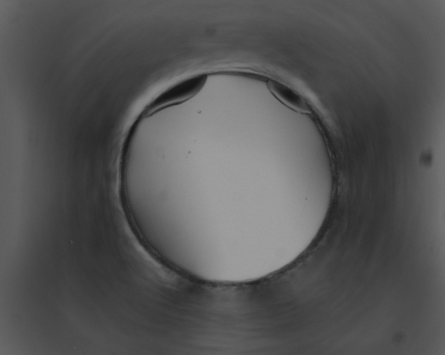 X0000095541512200801041258