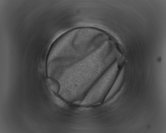 X0000095541513200801041258