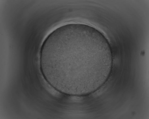 X0000095541514200801041258