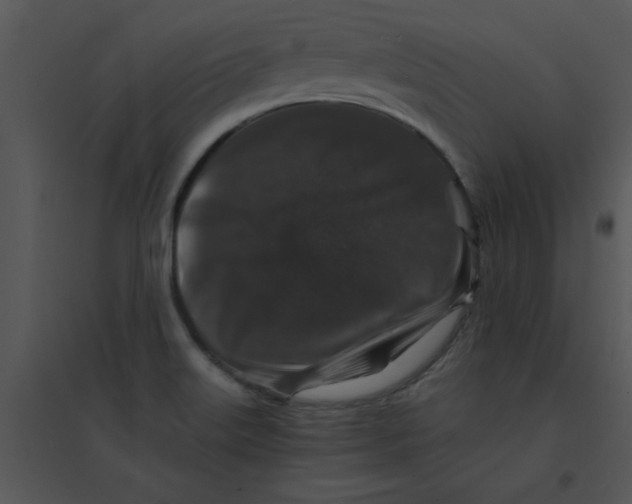 X0000095541515200801041258