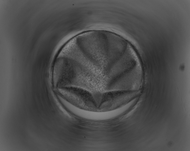 X0000095541517200801041258