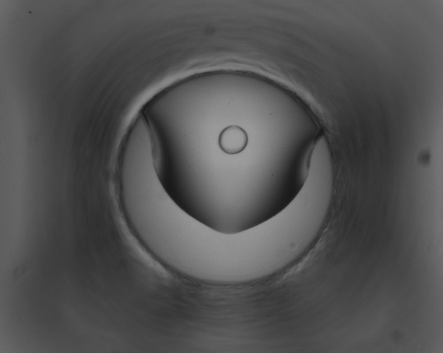 X0000095541518200801041258