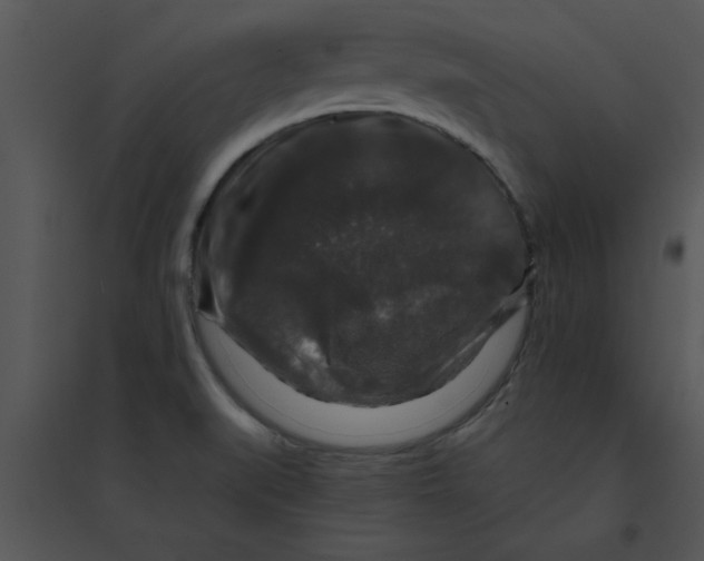 X0000095541519200801041258