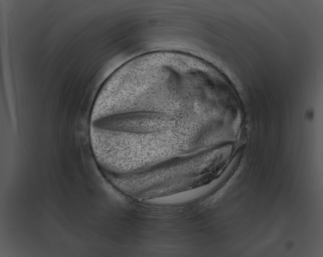 X0000095541521200801041258