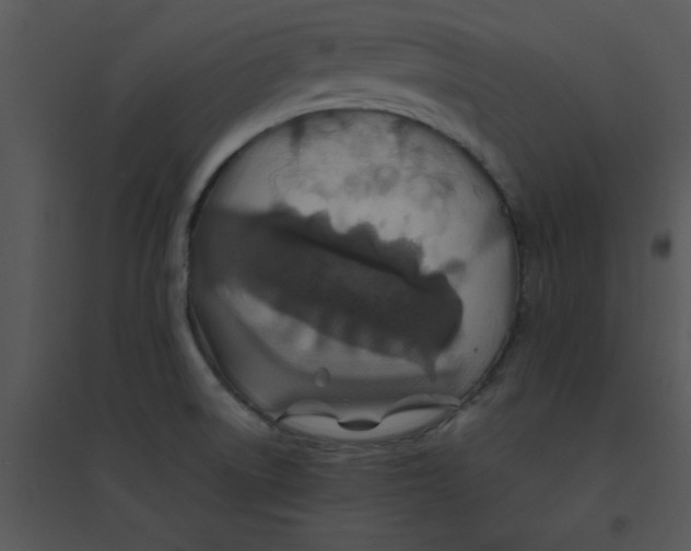 X0000095541522200801041258