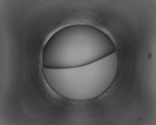 X0000095541524200801041258