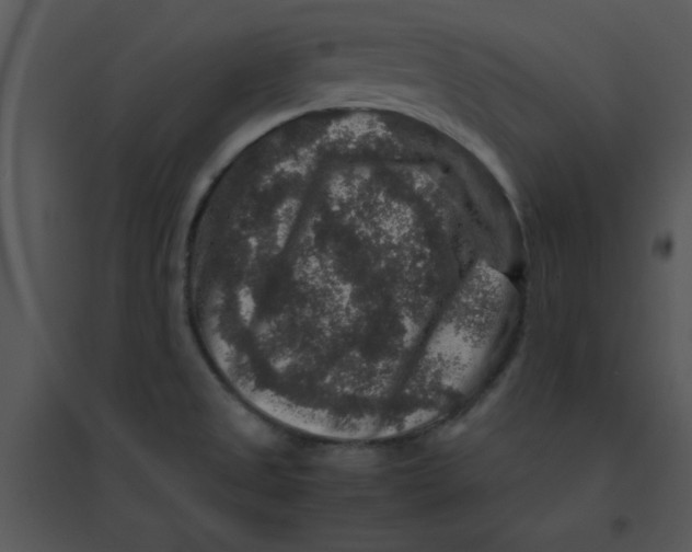 X0000095541525200801041258