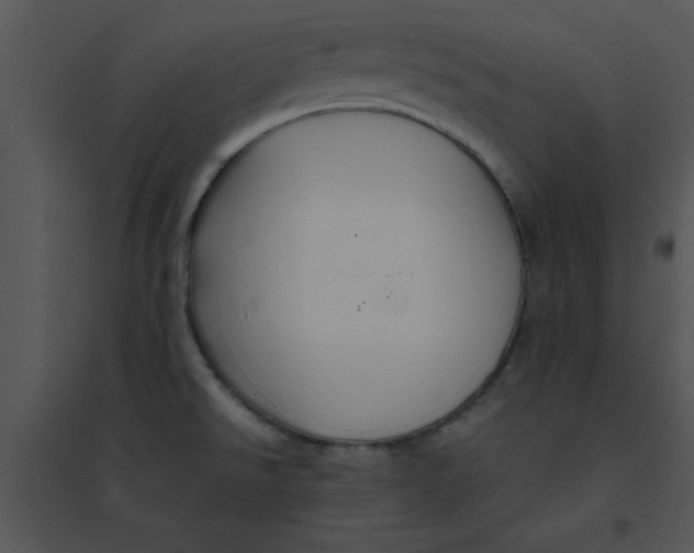 X0000095541526200801041258