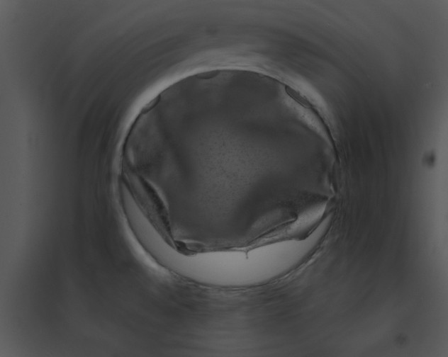 X0000095541528200801041258