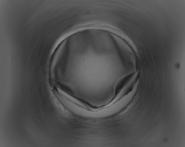 X0000095541530200801041258