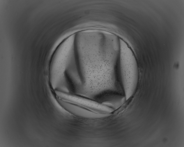 X0000095541531200801041258