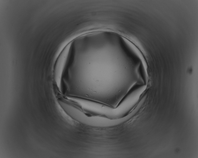 X0000095541532200801041258