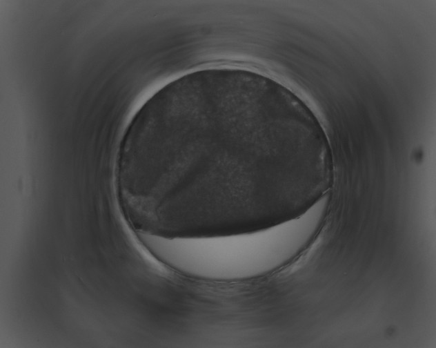 X0000095541533200801041258